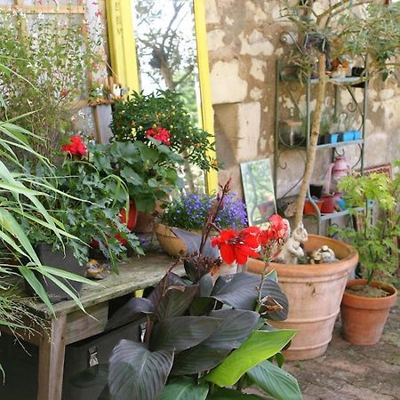 Les Petites Mirabelles Bed & Breakfast Noyers-sur-Cher Exterior photo