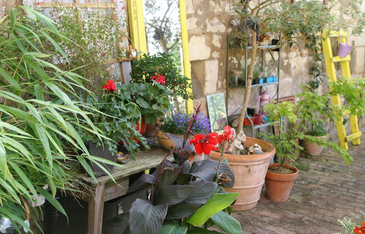 Les Petites Mirabelles Bed & Breakfast Noyers-sur-Cher Exterior photo